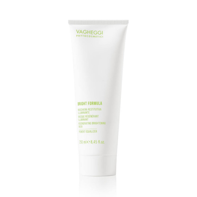 Vagheggi Bright Formula Regenerating Brightening Pigment Equalizer Mask 250ml — Maskid Vagheggi Bright Formula Regenerating Brightening Pigment Equalizer Mask 250ml — Maskid