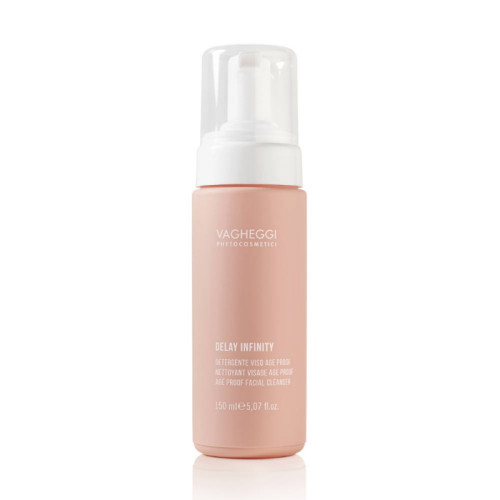 Vagheggi Delay Infinity Age Proof Facial Cleanser Mousse 150ml — Очищення Vagheggi Delay Infinity Age Proof Facial Cleanser Mousse 150ml — Очищення